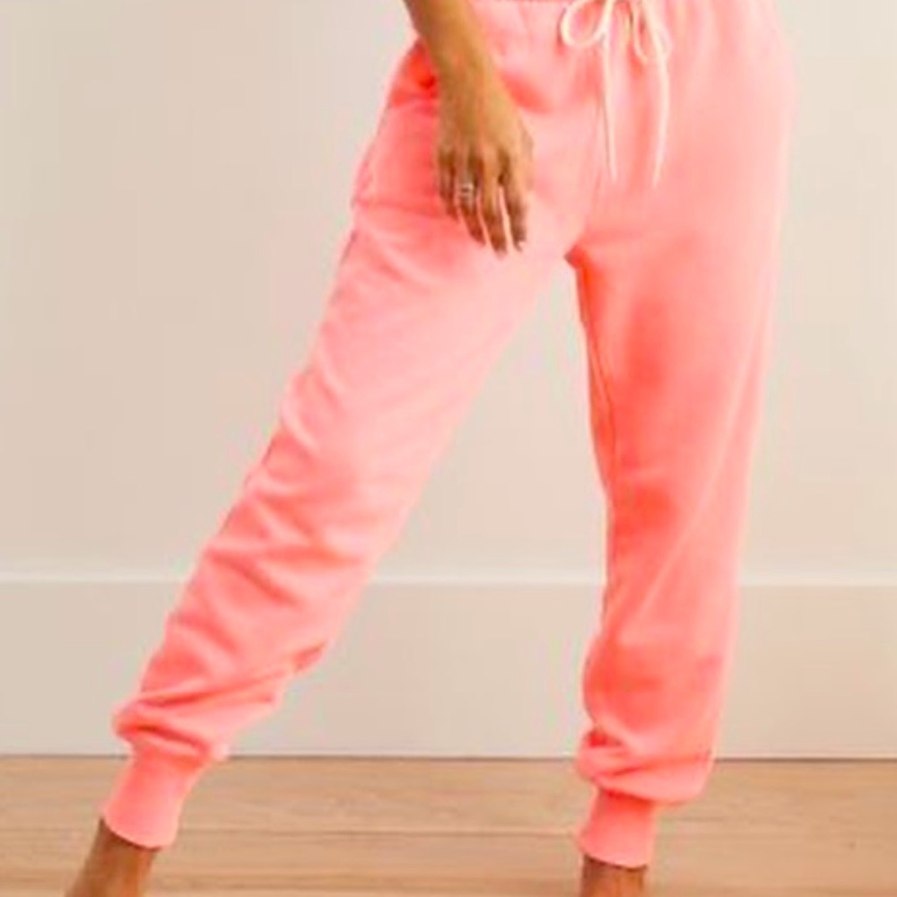American Eagle ARIE sweatpants/ joggers